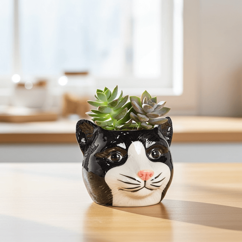 Black Cat Head Planter - Ziya Blue