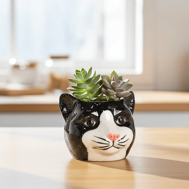 Black Cat Head Planter - Ziya Blue