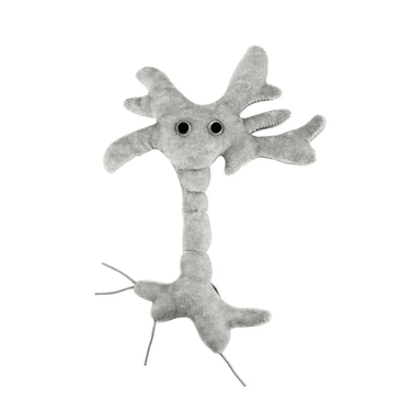 Brain Cell Plush: Cuddle Your Smarts! 🧠✨ - Ziya Blue