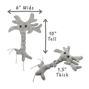 Brain Cell Plush: Cuddle Your Smarts! 🧠✨ - Ziya Blue
