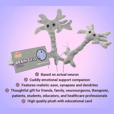 Brain Cell Plush: Cuddle Your Smarts! 🧠✨ - Ziya Blue