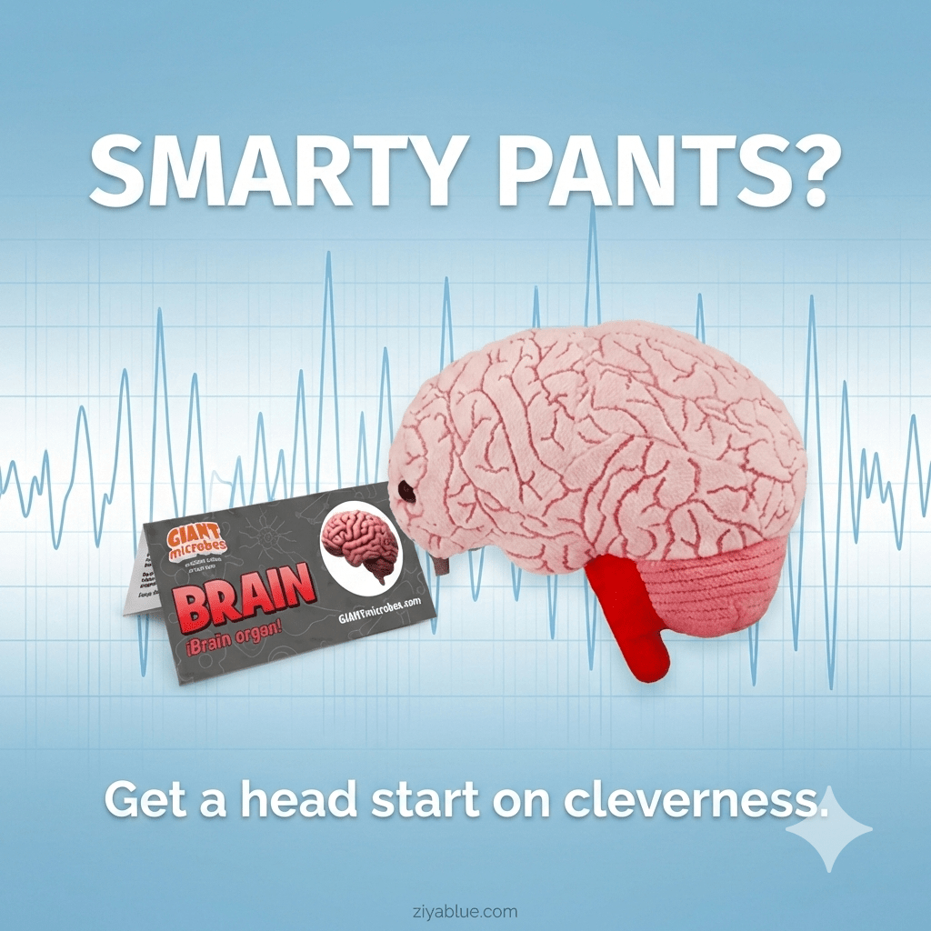 Brain Plush – GIANTmicrobes Anatomically Accurate Neuroscience Toy - Ziya Blue