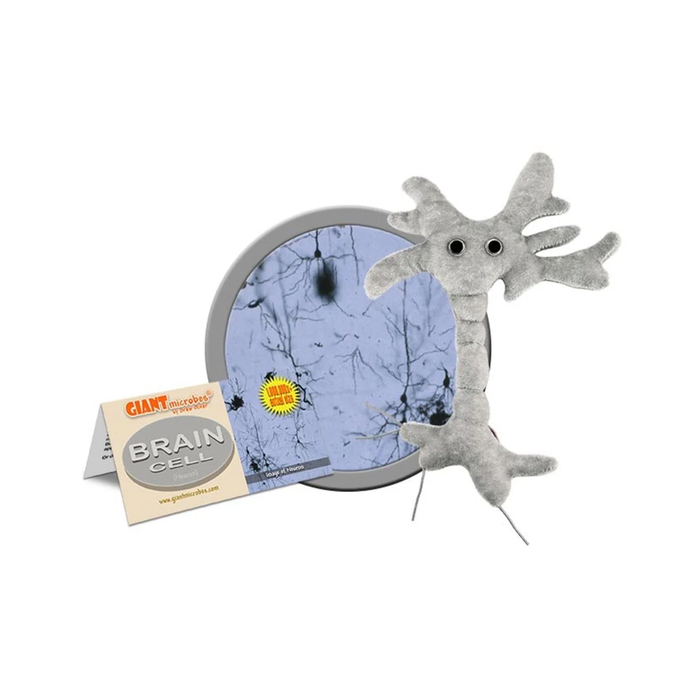 Brain Cell Plush: Cuddle Your Smarts! 🧠✨ - Ziya Blue
