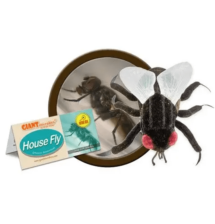 Buzz Off, Stress: The Adorable House Fly Plush! - Ziya Blue