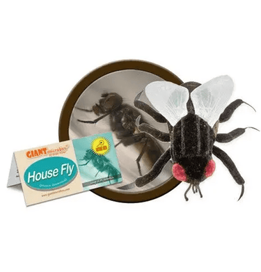 Buzz Off, Stress: The Adorable House Fly Plush! - Ziya Blue
