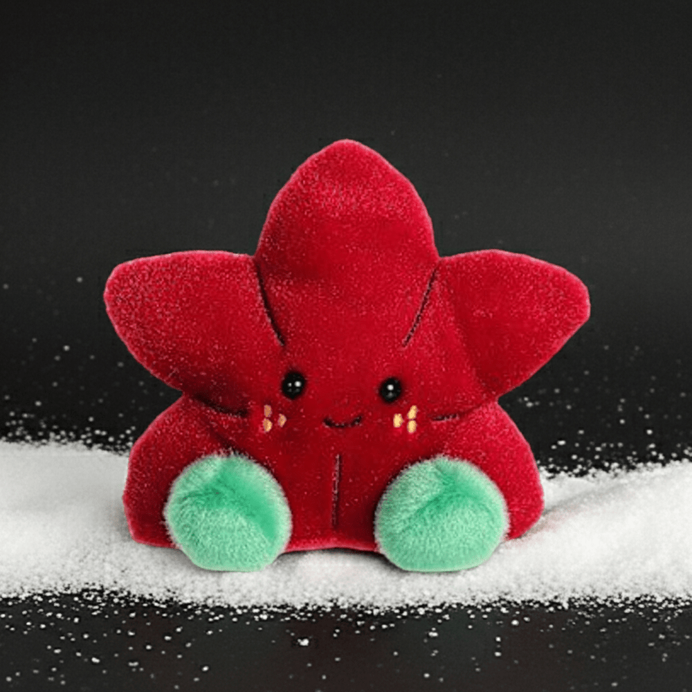 Carmine Poinsettia - Ziya Blue