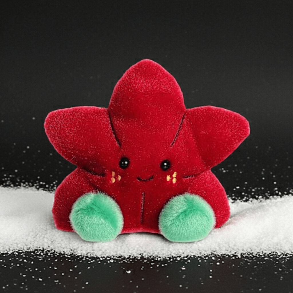 Carmine Poinsettia - Ziya Blue