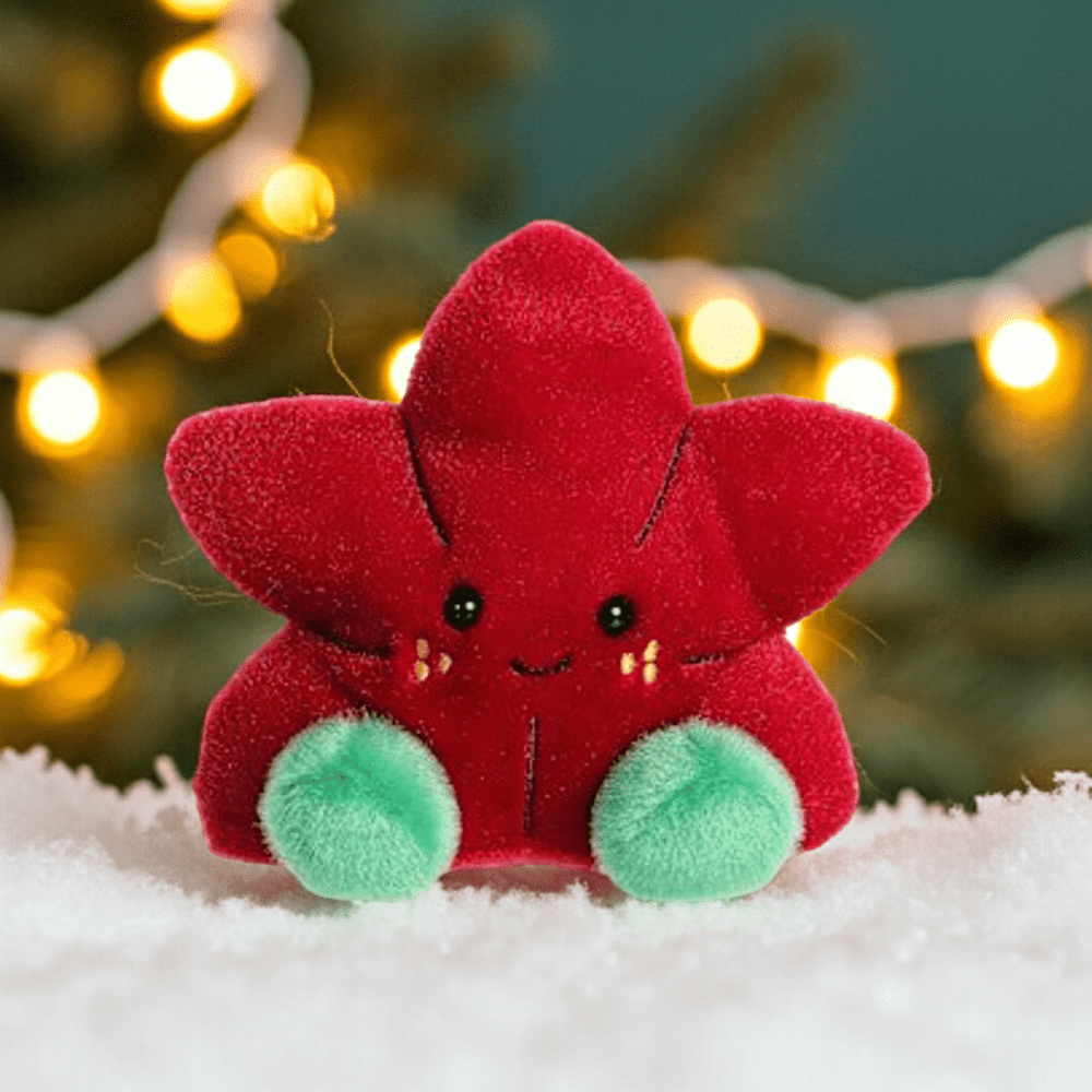 Carmine Poinsettia - Ziya Blue