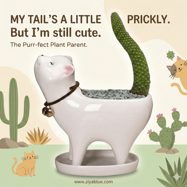 Cat Tail Succulent Cactus Ceramic Flower Pot 🐱 - Ziya Blue