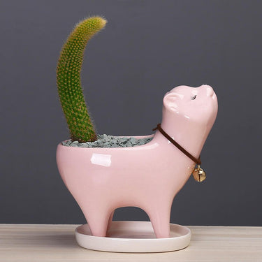Cat Tail Succulent Cactus Ceramic Flower Pot 🐱 - Ziya Blue