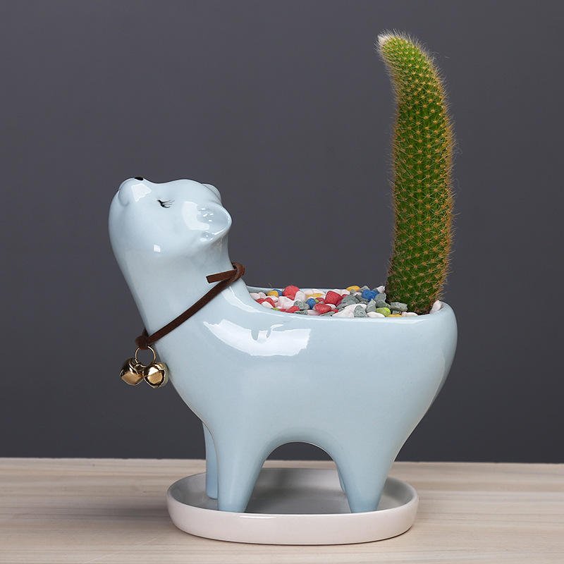 Cat Tail Succulent Cactus Ceramic Flower Pot 🐱 - Ziya Blue