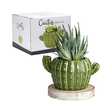 Ceramic Cactus Flower Planter Pot 🌵 - Ziya Blue