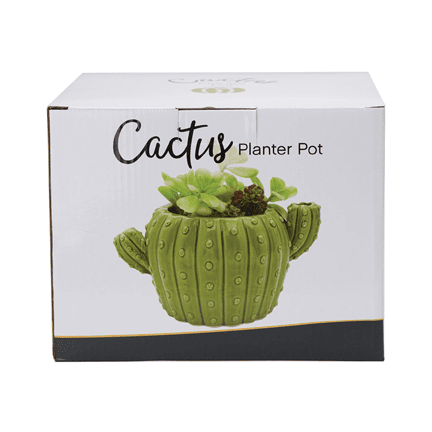 Ceramic Cactus Flower Planter Pot 🌵 - Ziya Blue