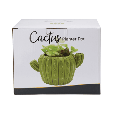 Ceramic Cactus Flower Planter Pot 🌵 - Ziya Blue