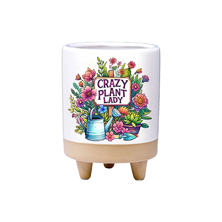 🪴 Certified Crazy Plant Lady Planter - Ziya Blue
