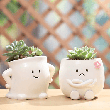 Charming Mini Succulent Pots - Ziya Blue