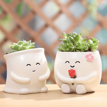 Charming Mini Succulent Pots - Ziya Blue