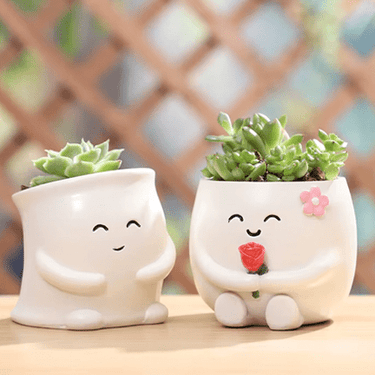 Charming Mini Succulent Pots - Ziya Blue