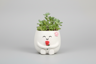 Charming Mini Succulent Pots - Ziya Blue