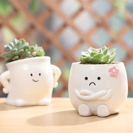 Charming Mini Succulent Pots - Ziya Blue