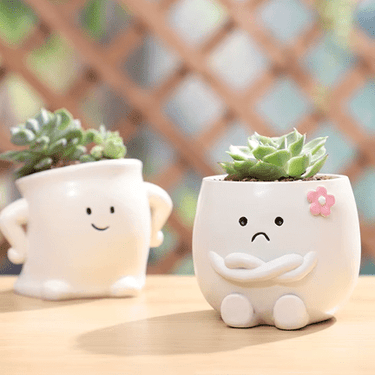 Charming Mini Succulent Pots - Ziya Blue