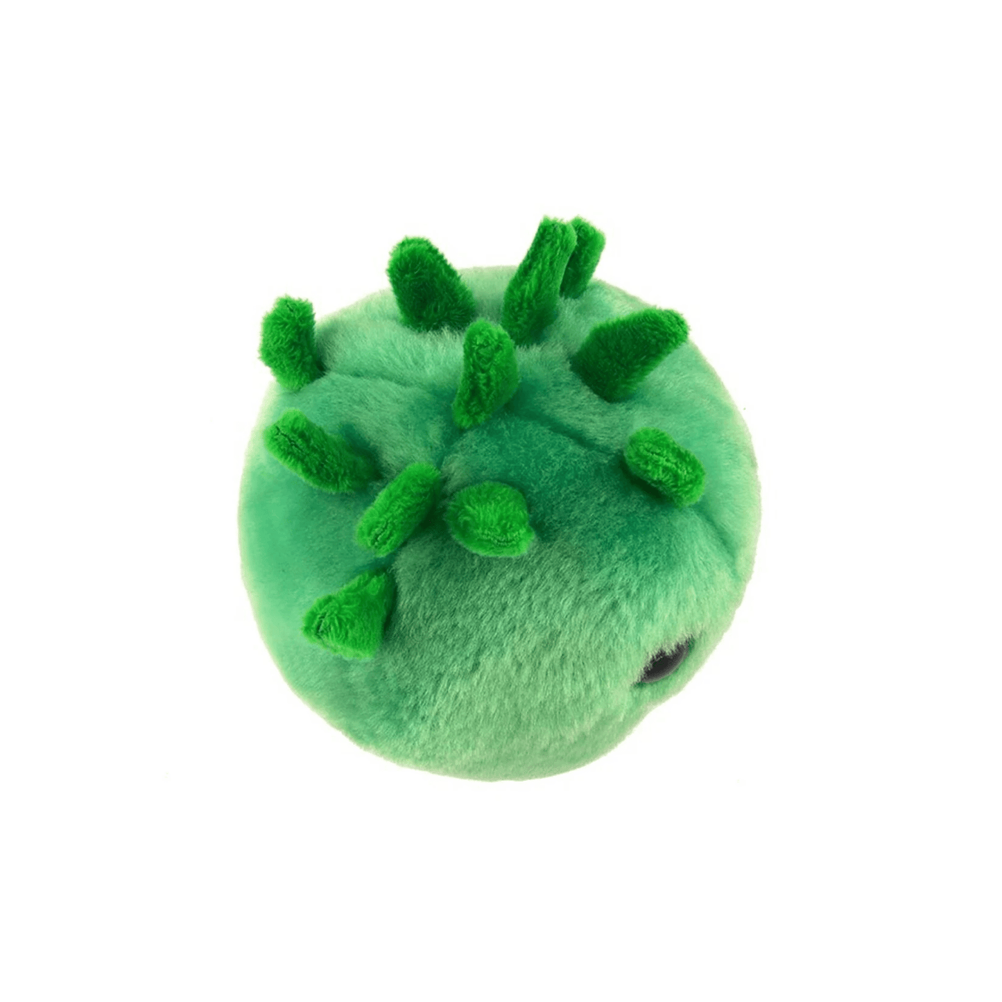 Chlamydia Plush: Soft, Silly, and Informative - Ziya Blue