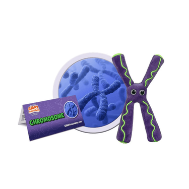 Chromosome Plush! - Ziya Blue