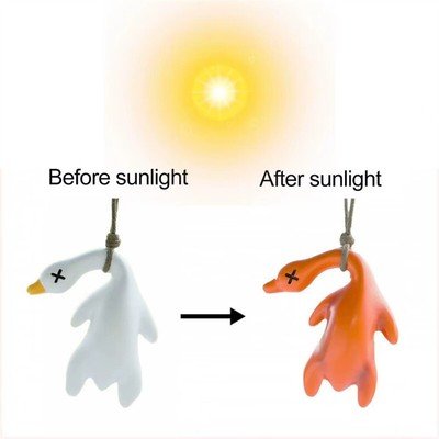 Colour - Changing Duck Hanger - Ziya Blue