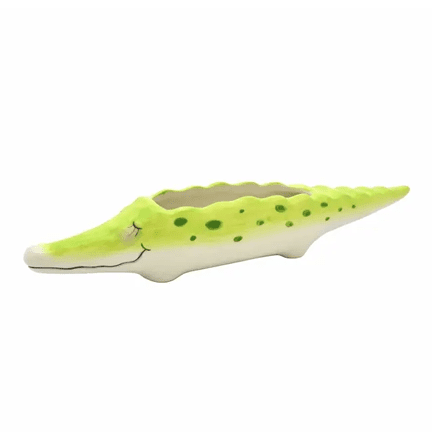 Crocodile Flower Planter Pot 🐊 - Ziya Blue