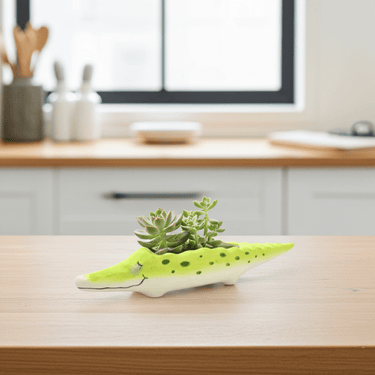 Crocodile Flower Planter Pot 🐊 - Ziya Blue