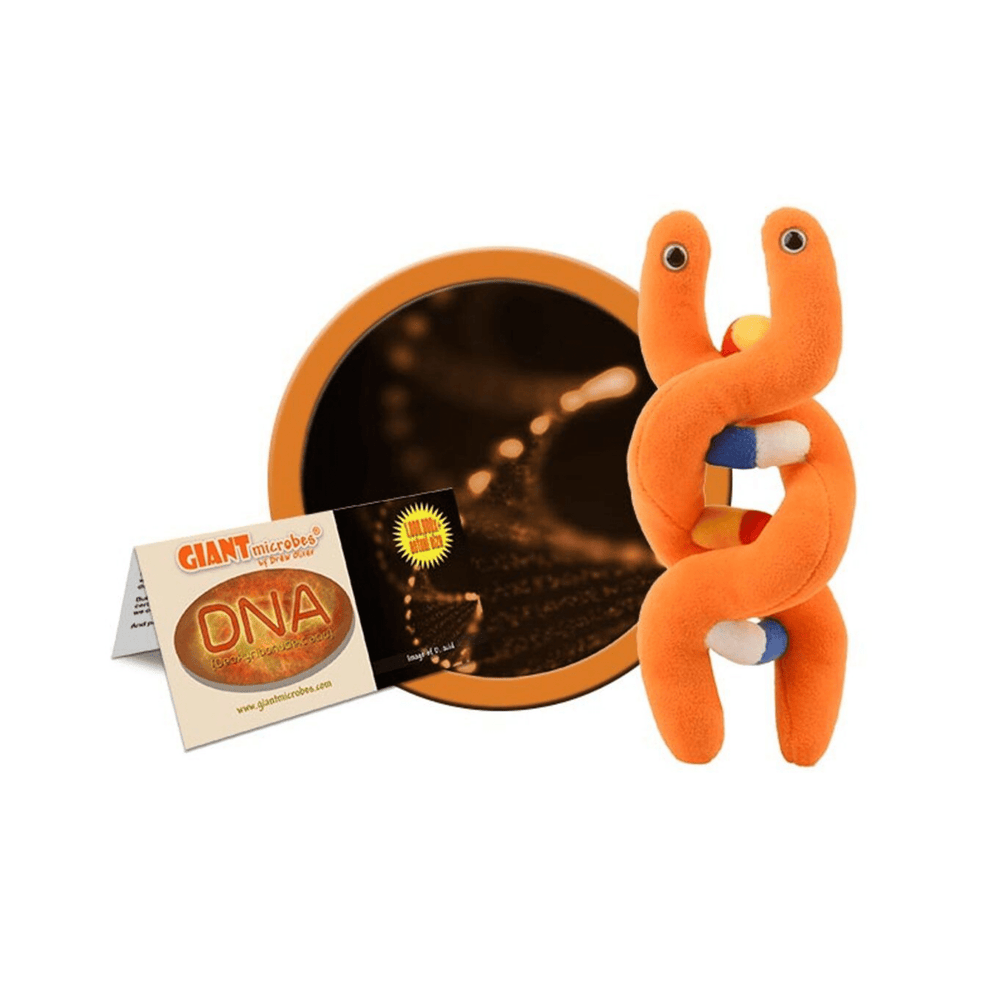 DNA (Deoxyribonucleic acid) Plush - Ziya Blue