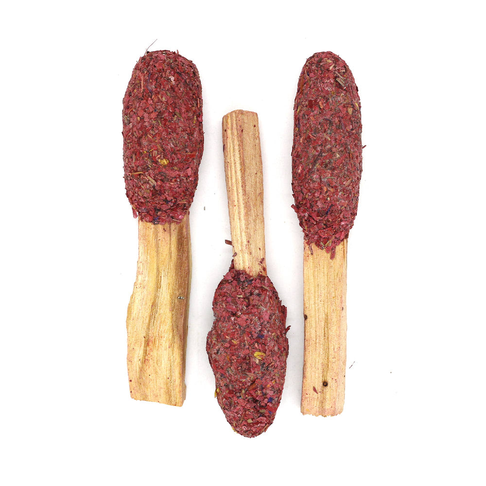 Dragon's Blood + Palo Santo Pops | Sacred Ritual Incense - Ziya Blue