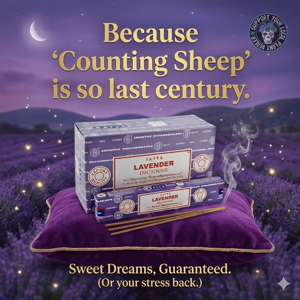 English Lavender Incense Sticks (15 g) 🌸✨ - Ziya Blue