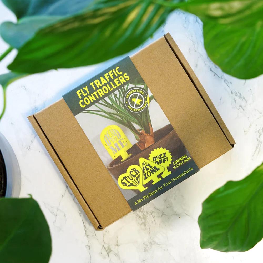 Fly Traffic Controllers - Ziya Blue