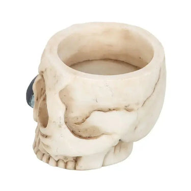 Gothic Skull Tealight Holder with Snake - Ziya Blue