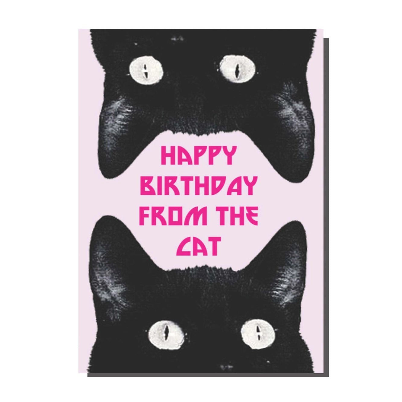 Happy Birthday from the Cat Card - Ziya Blue