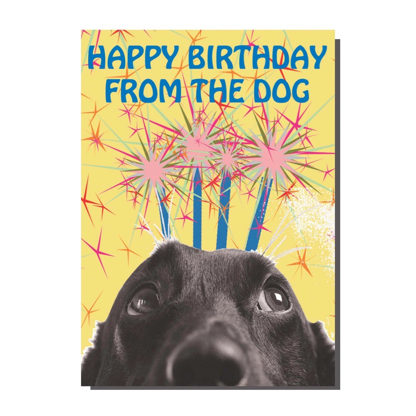 Happy Birthday from the Dog Card - Ziya Blue