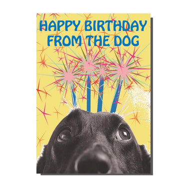 Happy Birthday from the Dog Card - Ziya Blue