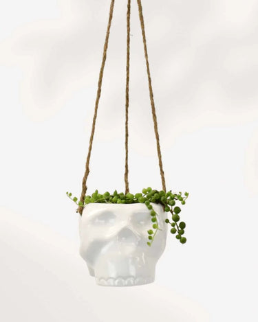 Haunted Hanging Skull Pot - Ziya Blue