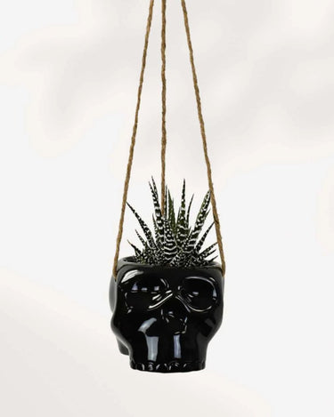 Haunted Hanging Skull Pot - Ziya Blue