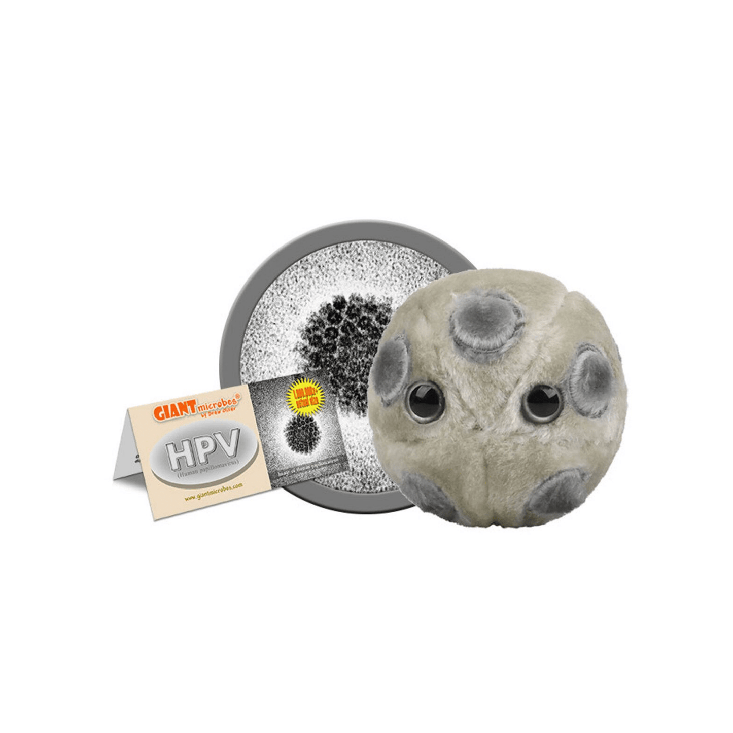 HPV: The Plush That Educates! - Ziya Blue