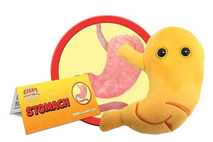 Hug Your Gut: The Adorable Stomach Plush! - Ziya Blue