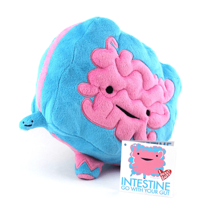 Intestine Plush - Go with Your Gut and Cuddle Up!” 💖🍃 - Ziya Blue