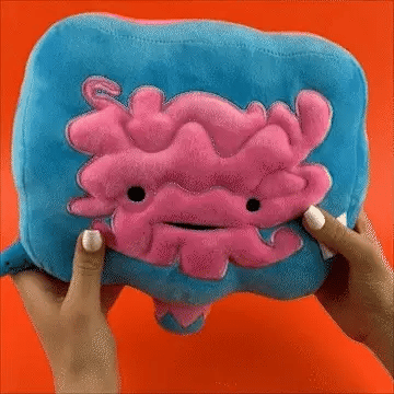 Intestine Plush - Go with Your Gut and Cuddle Up!” 💖🍃 - Ziya Blue