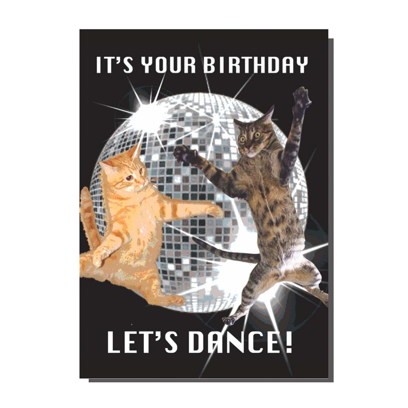 It's Your Birthday Let's Dance Cat Card - Ziya Blue