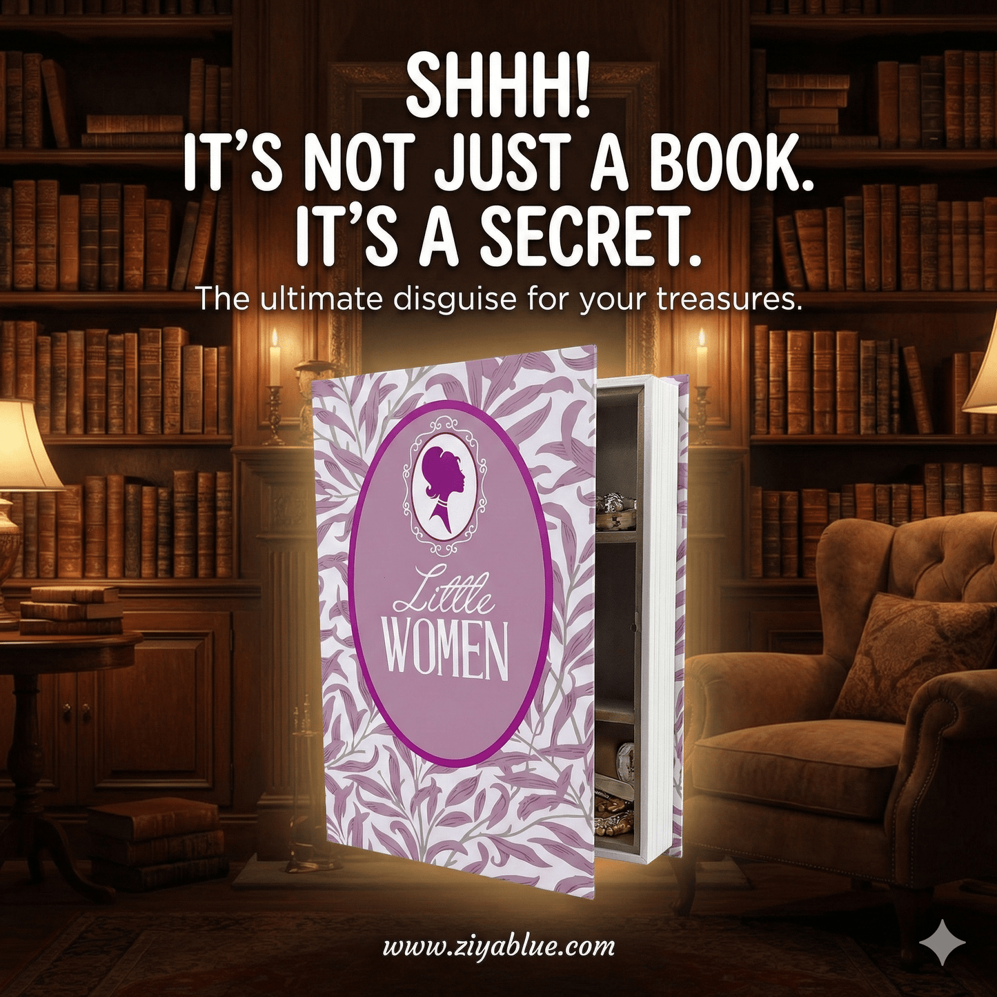 "Little Women Who Stash Things" Book Safe | Secret Diversion Stash Box - Ziya Blue