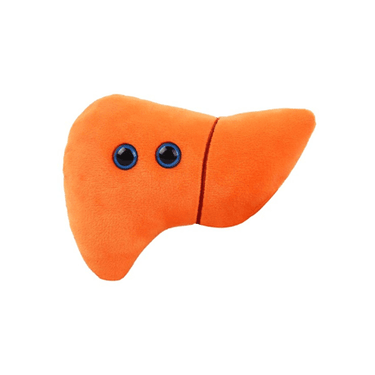 Liver Plush - Ziya Blue