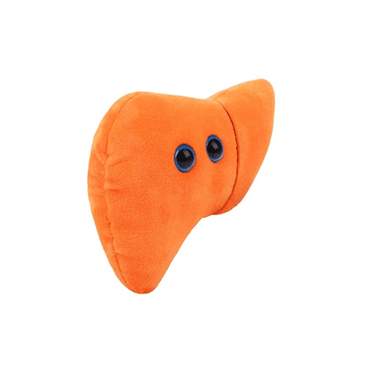 Liver Plush - Ziya Blue