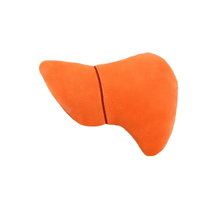 Liver Plush - Ziya Blue