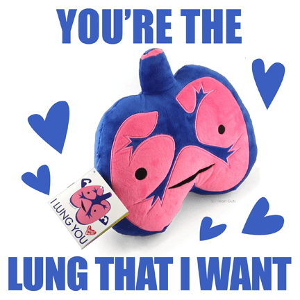 Lungs Plush - I lung You - Ziya Blue
